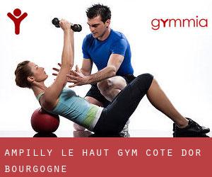 Ampilly-le-Haut gym (Cote d'Or, Bourgogne)