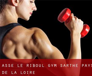 Assé-le-Riboul gym (Sarthe, Pays de la Loire)