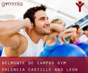 Belmonte de Campos gym (Palencia, Castille and León)