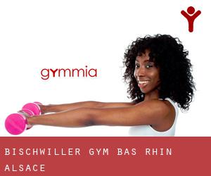 Bischwiller gym (Bas-Rhin, Alsace)
