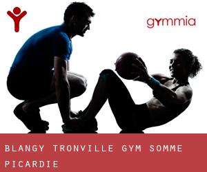 Blangy-Tronville gym (Somme, Picardie)