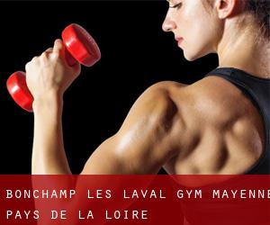 Bonchamp-lès-Laval gym (Mayenne, Pays de la Loire)