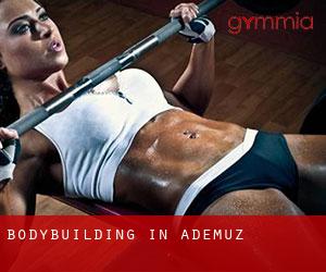 BodyBuilding in Ademuz