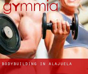 BodyBuilding in Alajuela BodyBuilding in Alajuela