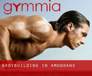 BodyBuilding in Amondans
