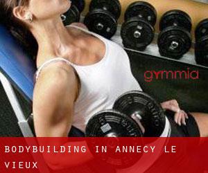 BodyBuilding in Annecy-le-Vieux
