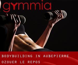 BodyBuilding in Aubepierre-Ozouer-le-Repos