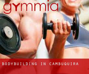 BodyBuilding in Cambuquira