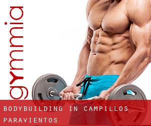 BodyBuilding in Campillos-Paravientos