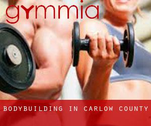 BodyBuilding in Carlow County BodyBuilding in Carlow County
