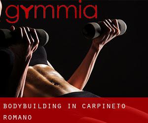 BodyBuilding in Carpineto Romano