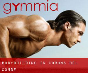 BodyBuilding in Coruña del Conde