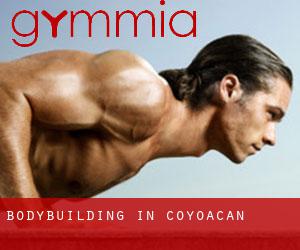 BodyBuilding in Coyoacán