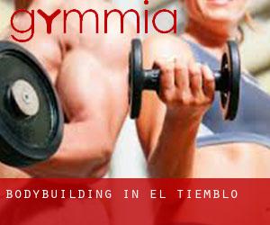 BodyBuilding in El Tiemblo