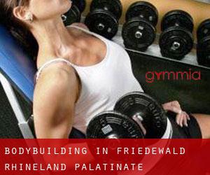 BodyBuilding in Friedewald (Rhineland-Palatinate)