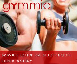 BodyBuilding in Geestenseth (Lower Saxony)