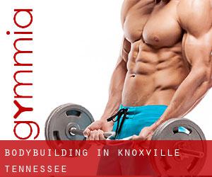 BodyBuilding in Knoxville (Tennessee)
