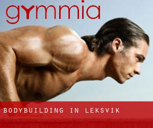 BodyBuilding in Leksvik BodyBuilding in Leksvik
