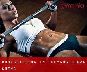 BodyBuilding in Luoyang (Henan Sheng)