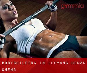 BodyBuilding in Luoyang (Henan Sheng) BodyBuilding in Luoyang (Henan Sheng)