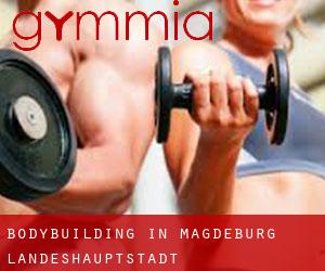 BodyBuilding in Magdeburg Landeshauptstadt