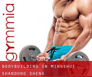 BodyBuilding in Mingshui (Shandong Sheng)
