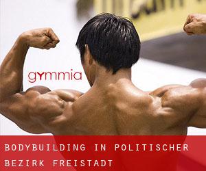BodyBuilding in Politischer Bezirk Freistadt
