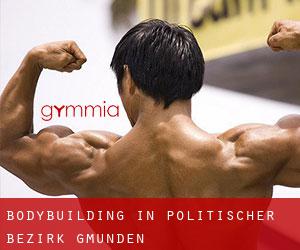 BodyBuilding in Politischer Bezirk Gmunden