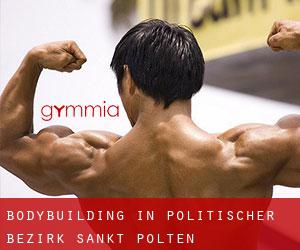 BodyBuilding in Politischer Bezirk Sankt Pölten