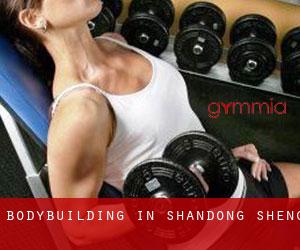 BodyBuilding in Shandong Sheng
