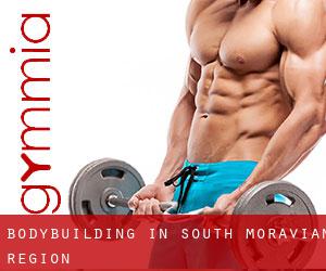 BodyBuilding in South Moravian Region BodyBuilding in South Moravian Region
