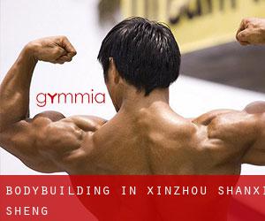 BodyBuilding in Xinzhou (Shanxi Sheng) BodyBuilding in Xinzhou (Shanxi Sheng)