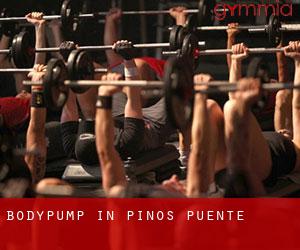 BodyPump in Pinos Puente