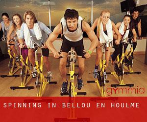 Spinning in Bellou-en-Houlme