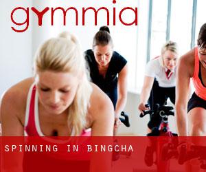 Spinning in Bingcha Spinning in Bingcha