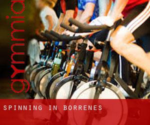 Spinning in Borrenes