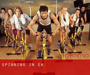 Spinning in Ea