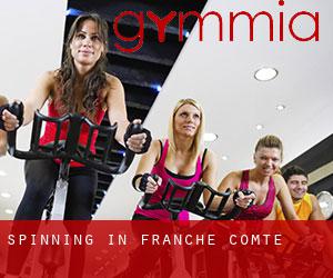 Spinning in Franche-Comté