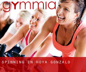 Spinning in Hoya-Gonzalo