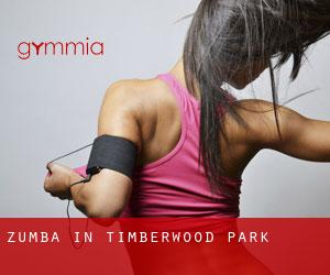 Zumba in Timberwood Park