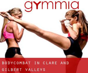 BodyCombat in Clare and Gilbert Valleys