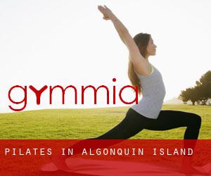 Pilates in Algonquin Island