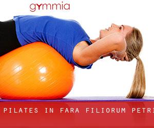 Pilates in Fara Filiorum Petri