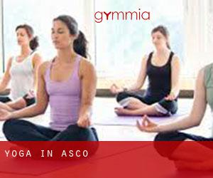 Yoga in Ascó