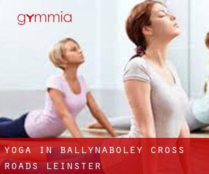Yoga in Ballynaboley Cross Roads (Leinster)