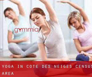 Yoga in Côte-des-Neiges (census area)