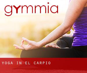 Yoga in El Carpio