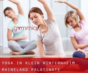 Yoga in Klein-Winternheim (Rhineland-Palatinate)