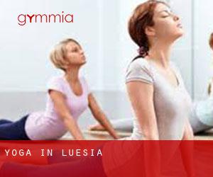 Yoga in Luesia