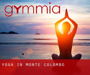Yoga in Monte Colombo